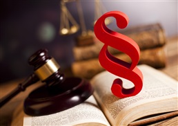 Nu in BlueConnect: een artikelsgewijze commentaar op het nieuwe Strafwetboek